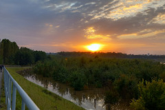017