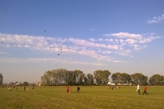 11