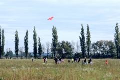 drak13_22