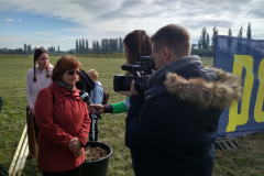 52