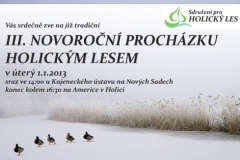 pozvanka2013