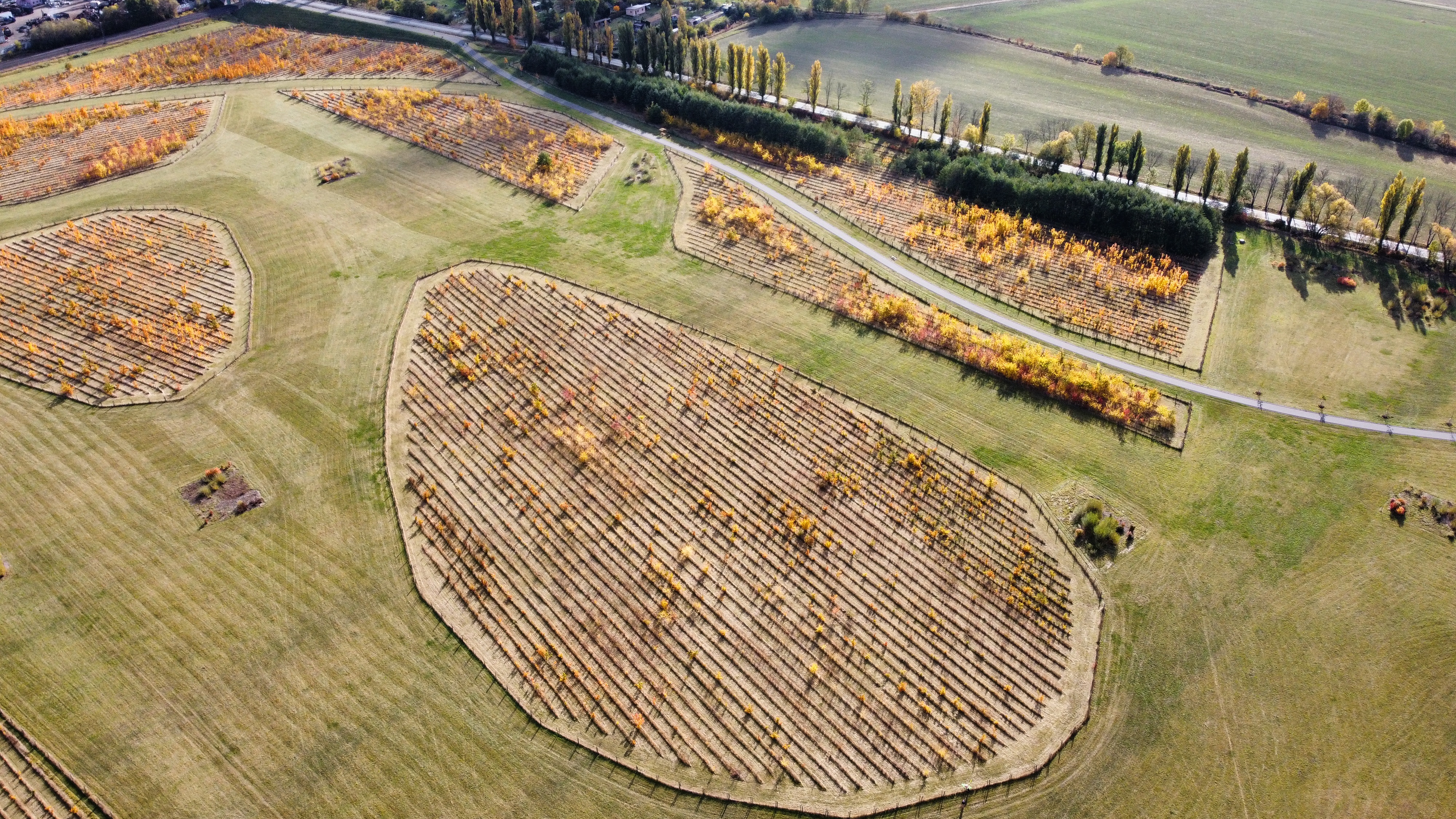 Photo_6553934_DJI_334_jpg_4187948_0_20211023104336_photo_original