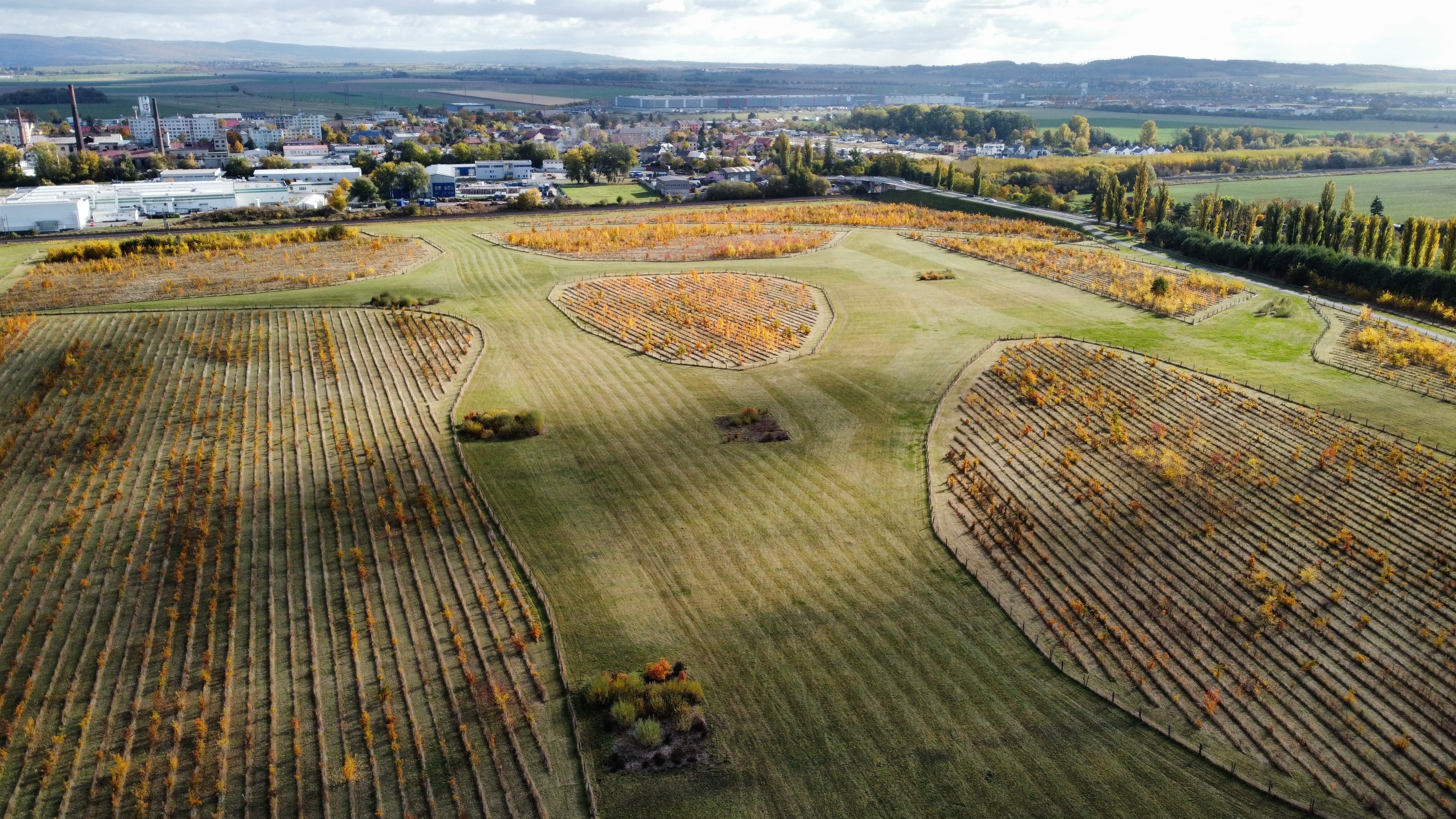 Photo_6553939_DJI_339_jpg_4041778_0_2021102310454_photo_original