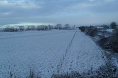 GEDC0911