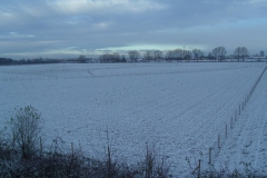 GEDC0913