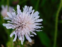 dscn5617