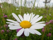 dscn5619