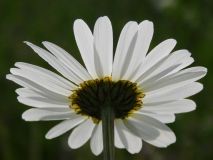 dscn5641